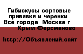 Гибискусы сортовые, прививки и черенки - Все города, Москва г.  »    . Крым,Ферсманово